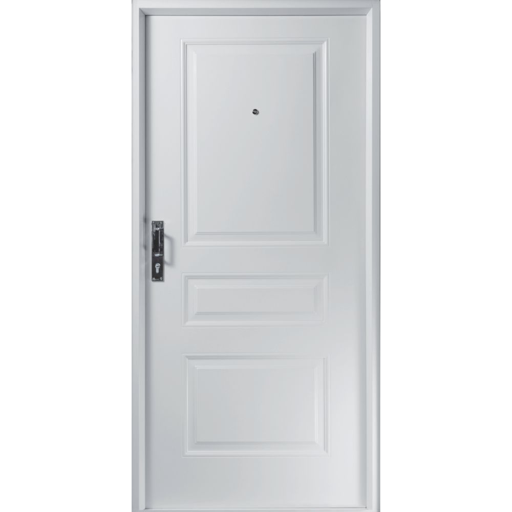 Puerta Galva de seguridad 100x205