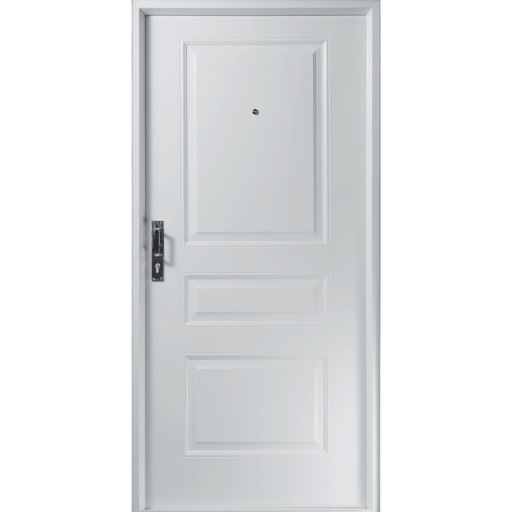 Puerta Galva de seguridad 100x205
